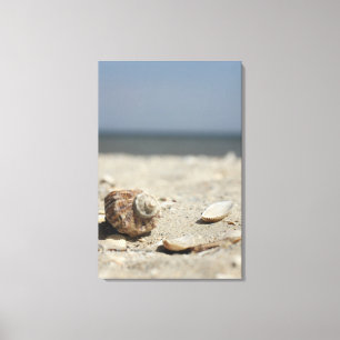 Seashells auf Sand durch das Meer Leinwanddruck