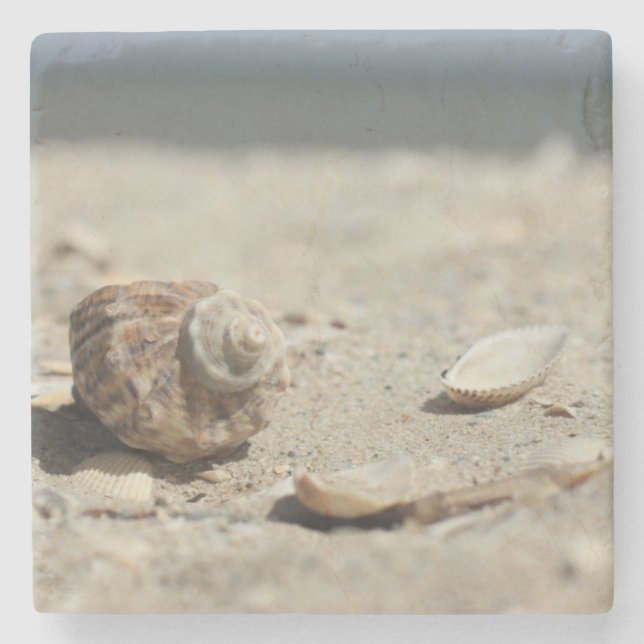 Seashells auf Sand durch das Meer Steinuntersetzer (Vorderseite)