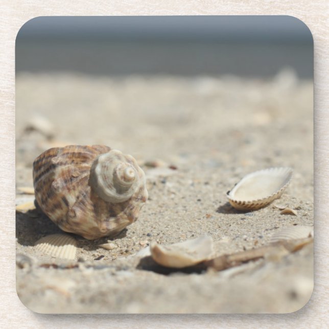 Seashells auf Sand durch das Meer Untersetzer (Vorderseite)