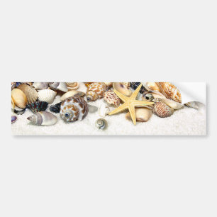 Seashells Autoaufkleber