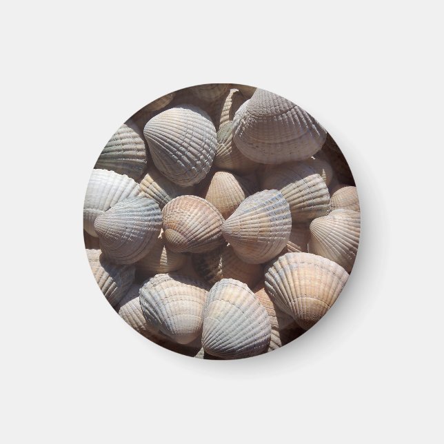 Seashells Beach, Summer Holiday Magnet (Vorne)