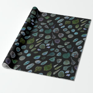 Seashells Black Glossy Matt Wrapping Paper Geschenkpapier