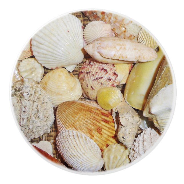Seashells Drawer Pull Keramikknauf (Vorderseite)
