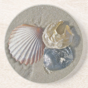 Seashells Getränkeuntersetzer
