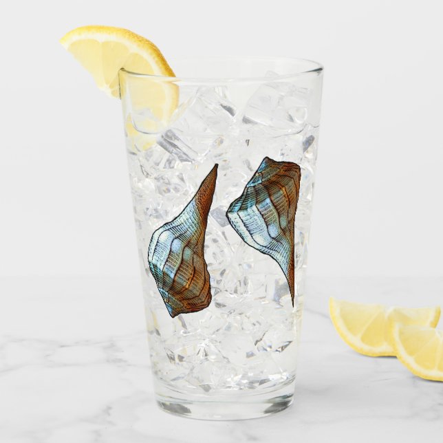Seashells Glas (Vorderseite Ice)
