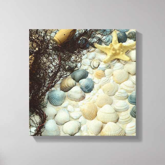 Seashells Leinwanddruck (Vorderseite)