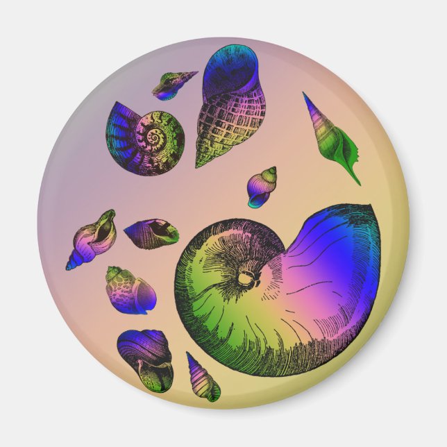 Seashells Magnet (Vorne)