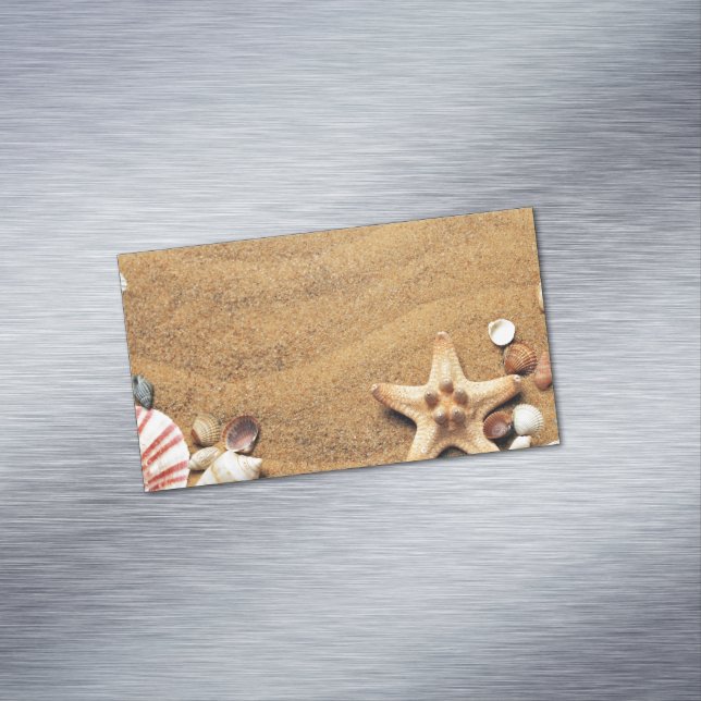 Seashells Magnetische Visitenkarte (Beispiel)