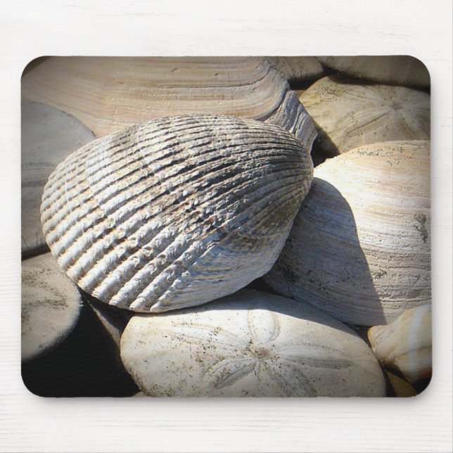 Seashells Mousepad (Vorne)