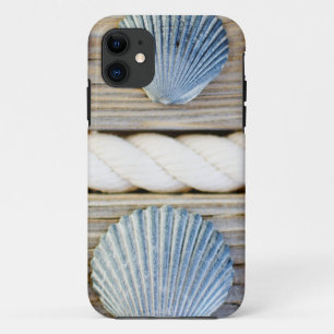Seashells   New York City title_seo2