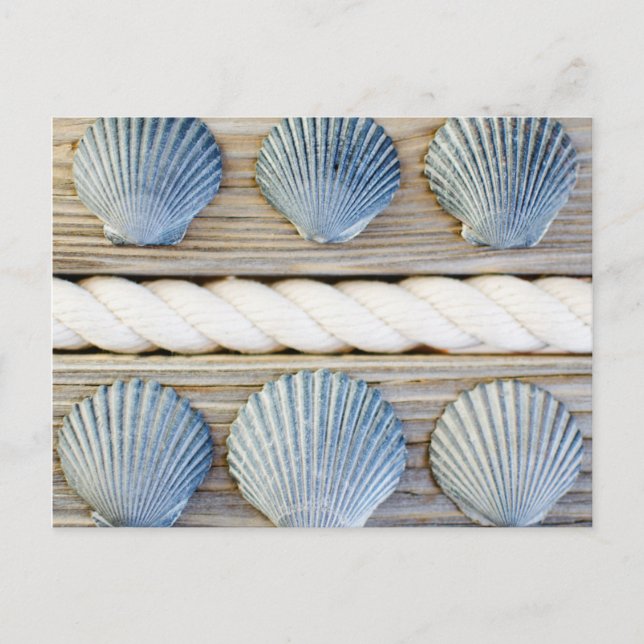 Seashells | New York City Postkarte (Vorderseite)