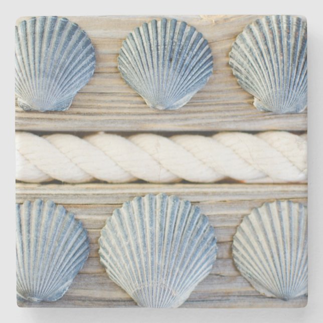Seashells | New York City Steinuntersetzer (Vorderseite)