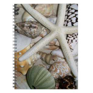 Seashells Notebook Notizblock