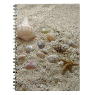 Seashells On Beach Sand Writing Journal Notizblock