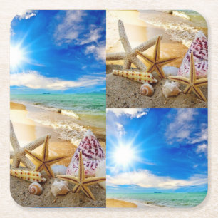 Seashells Paper Untersetzer