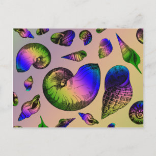 Seashells Postkarte