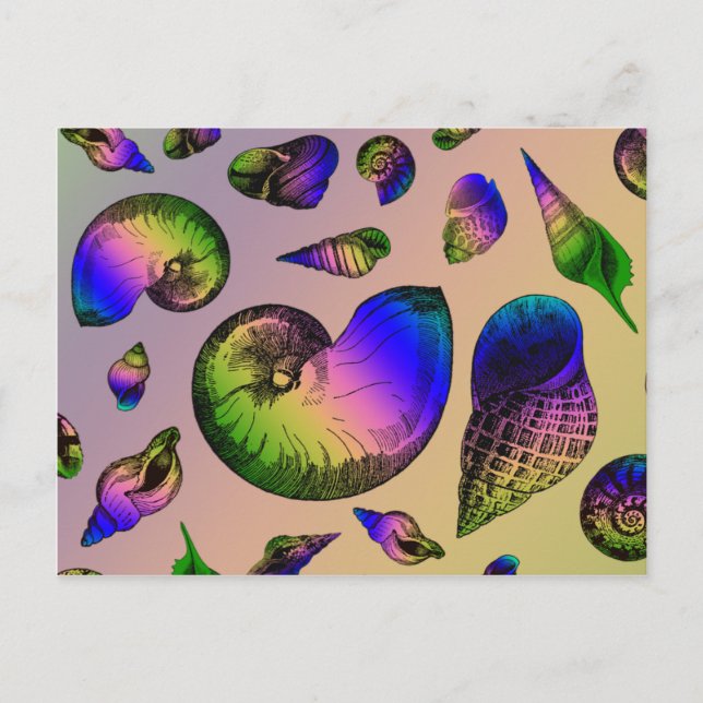 Seashells Postkarte (Vorderseite)