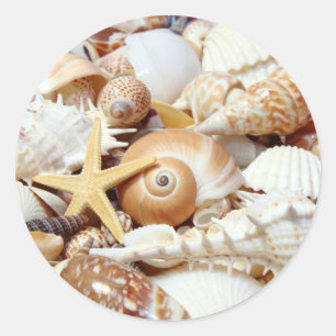Seashells Runder Aufkleber