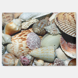 Seashells sammelte sich vom Strand Sanibel Island Magnet