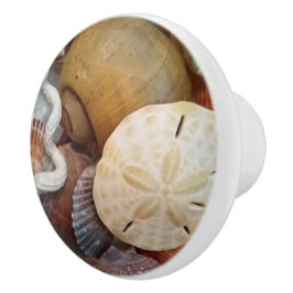 Seashells Sand Dollar Beach Theme Keramikknauf