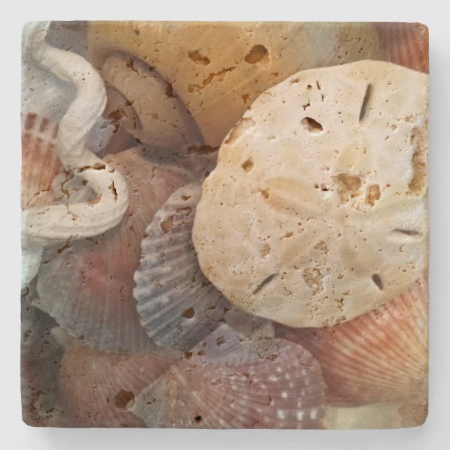 Seashells Sand Dollar Steinuntersetzer (Vorderseite)