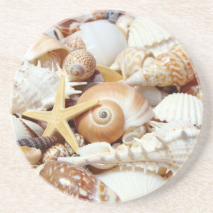 Seashells Sandstein Untersetzer