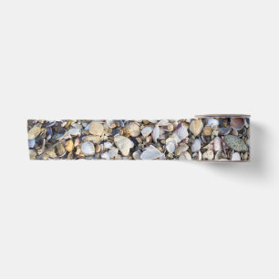 Seashells Satinband