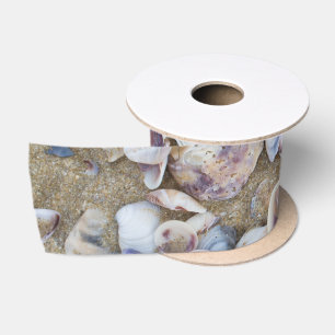 Seashells Satinband