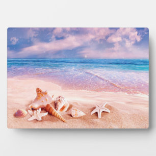 Seashells Sea Beach Fotoplatte