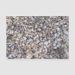 Seashells Seidenpapier