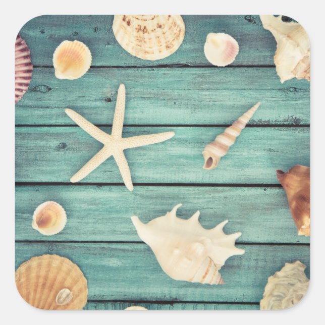 Seashells Selection Quadratischer Aufkleber (Vorderseite)