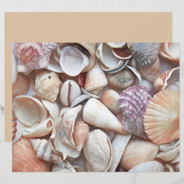 Seashells Sketch Ocean Nautical Beach Decoupage (Vorne/Hinten)