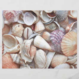 Seashells Sketch Ocean Nautical Beach Decoupage