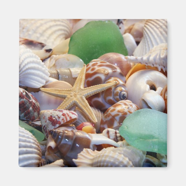 Seashells Starfish & Beach Glass Magnet (Vorne)
