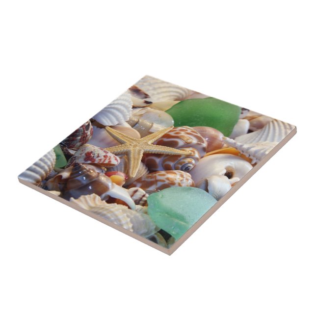 Seashells & Starfish Tile Fliese (Seite)