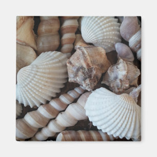 Seashells Summer Holiday Kühlschrank Magnet