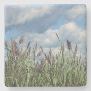 Seashore Marsh Grass Steinuntersetzer