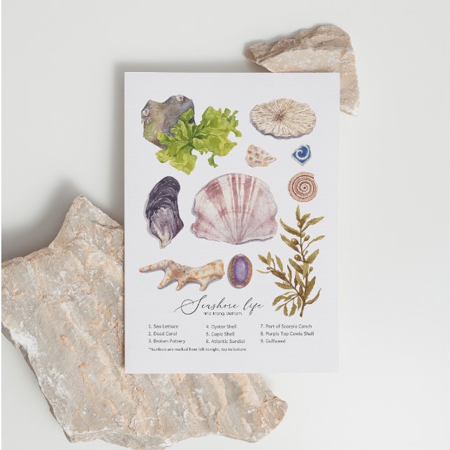 Seashore Postcard Feiertagspostkarte (Von Creator hochgeladen)