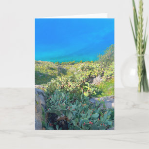 Seaside Cactus Nafplion Griechenland Karte
