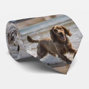 "Seaside Fun: Cocker Spaniel beim Spielen im Ozean Krawatte