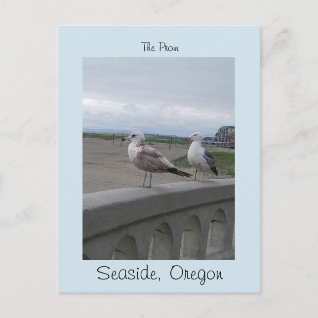 Seaside Oregon Two Gulls on the Beach Prom Postkarte (Vorderseite)
