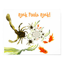 Seaside Rock Pool Funny Crabs Fisch