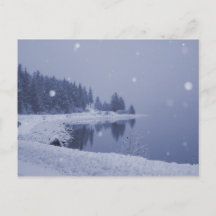 Seaside Snowfall Postcard