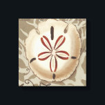 Seaside Sonnet III Leinwanddruck<br><div class="desc">Meeresleben</div>