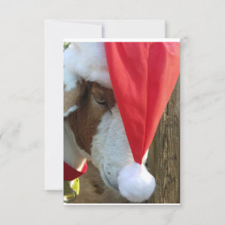 "Season Goat-ings!" Eine Urlaubskarte Einladung