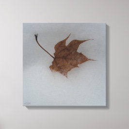 Seasonal Transitions Stretched Canvas Print Leinwanddruck