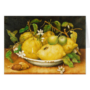 SEASON'S FRUITS LEMONS AND WHITE FLOWERS