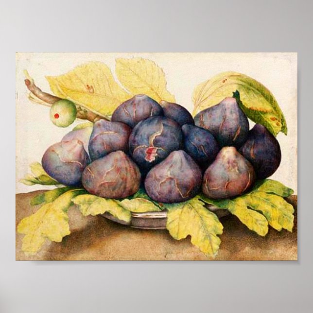 SEASON'S FRUITS / PLATE WITH FIGS AND GREEN LEAVES POSTER (Vorne)