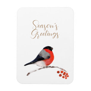 Seasons greetings with redcrested Bullfinch Card Magnet