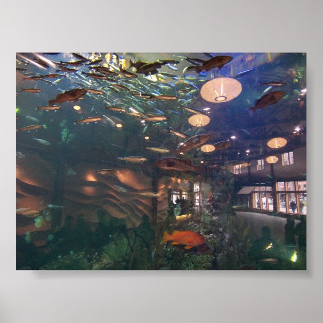 Seattle Aquarium Poster (Vorne)
